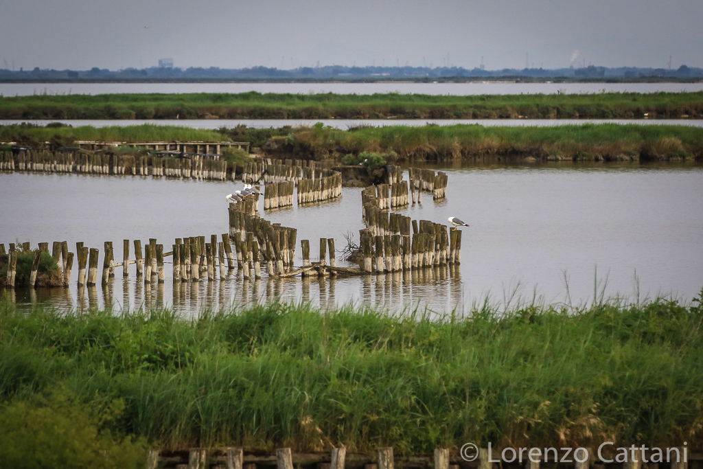 Comacchio, Valli e Casoni